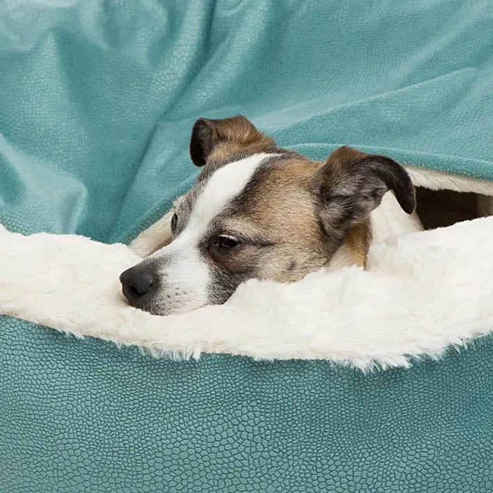 Dog Bed - Snuggle Cove Bed Hooded Blanket